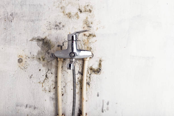 Best Mold Testing  in Brooktrails, CA