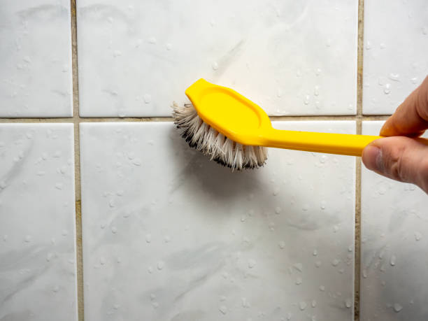 Best Black Mold Removal  in Brooktrails, CA